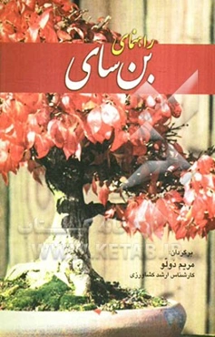 راهنمای بن‌سای