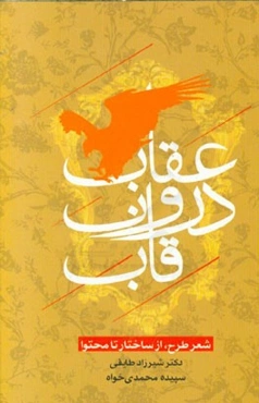 عقاب درون قاب: شعر طرح، از ساختار تا محتوا