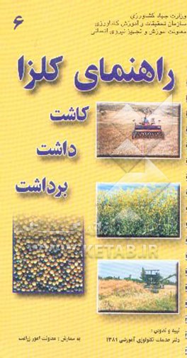 راهنمای کلزا (کاشت، داشت و برداشت