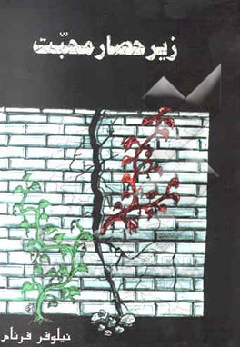 زیر حصار محبت