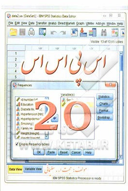 اس‌پی‌اس‌اس: 20