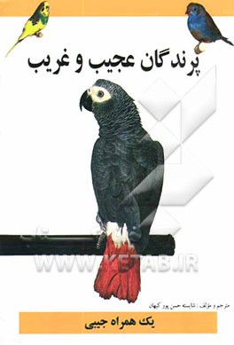 پرندگان عجیب و غریب