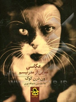 عکاسی، نمایی از مدرنیسم