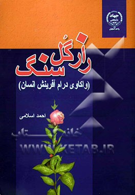 راز گل سنگ (واکاوی درام آفرینش انسان