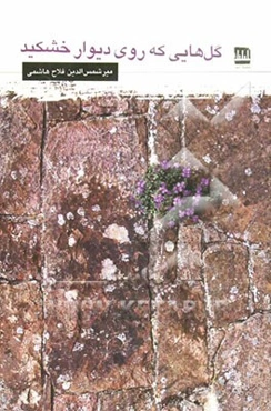 گل‌هایی که روی دیوار خشکید