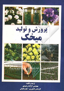 پرورش و تولید میخک