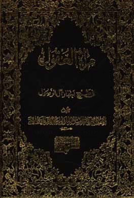 مراه العقول فی شرح اخبار آل الرسول