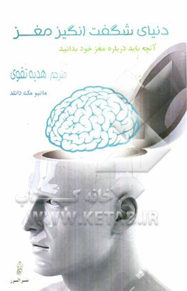 دنیای شگفت‌انگیز مغز: آنچه باید درباره مغز خود بدانید