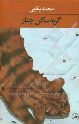 گربه ساکن چنار