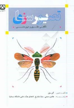 تصویرسازی، نگاهی نظری و درون‌متنی