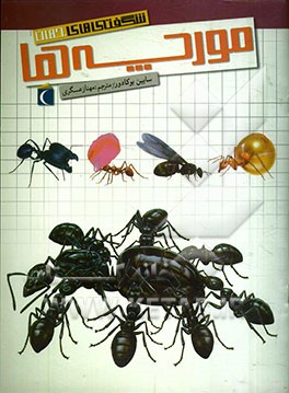 شگفتی‌های جهان: مورچه‌ها