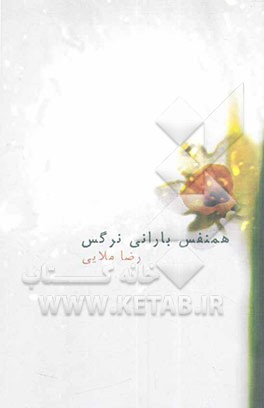 همنفس بارانی نرگس