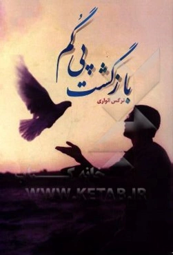 بازگشت پی گم