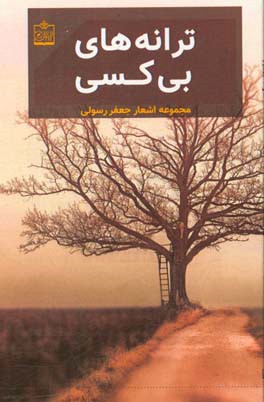 ترانه‌های بی‌کسی: مجموعه اشعار فارسی و ترکی