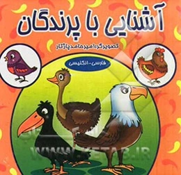 آشنایی با پرندگان