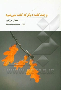 و چند کلمه دیگر که گفته نمی‌شود