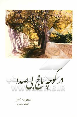 در کوچه باغ بی‌صدا