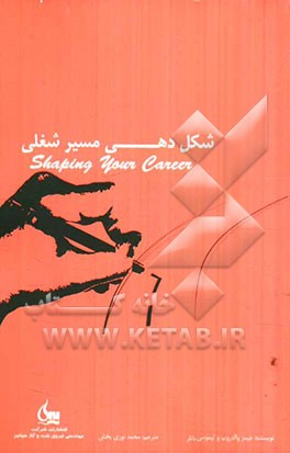 شکل‌دهی مسیر شغلی