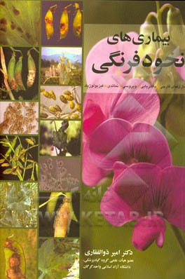 بیماری‌های نخودفرنگی: بیماری‌های قارچی، باکتریایی، ویروسی، نماتدی، فیزیولوژیک