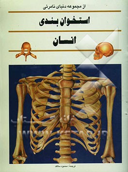 استخوان‌بندی انسان