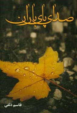 صدای پای باران