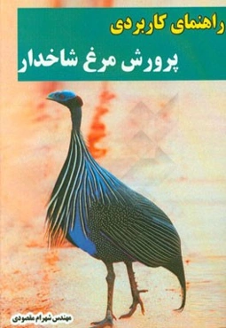 راهنمای کاربردی پرورش مرغ شاخدار