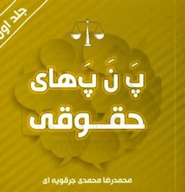 پ ن پ‌های حقوقی