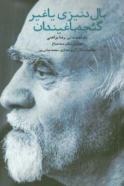 بال دنیزی یاغیر گئجه باغیندان