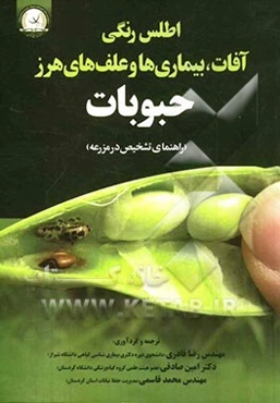 اطلس رنگی آفات، بیماری‌ها و علف‌های هرز حبوبات (راهنمای تشخیص در مزرعه)