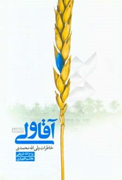 آقا ولی: خاطرات ولی‌الله محمدی