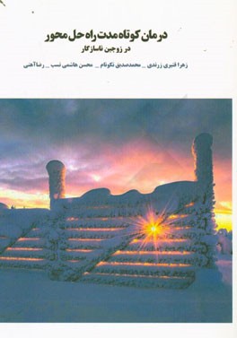 درمان کوتاه مدت راه حل محور در زوجین ناسازگار