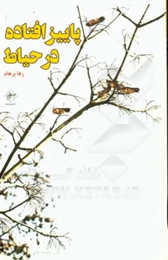 پاییز افتاده در حیاط