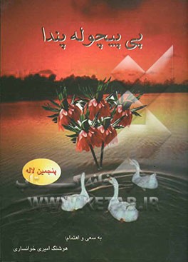 پی پیچوله پندا "ریشه، پی، بیخ و چگونگی پیدایش ضرب‌المثلها