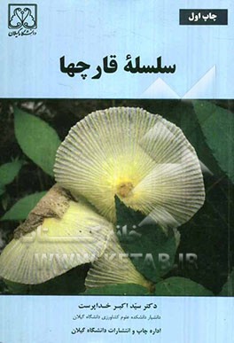 سلسله قارچها