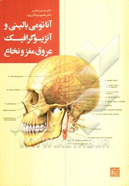 آناتومی بالینی و آنژیوگرافیک عروق مغز و نخاع