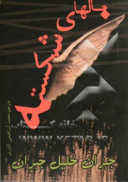 بالهای شکسته