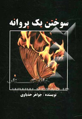 سوختن یک پروانه