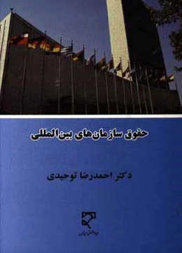 حقوق سازمان‌های بین‌المللی