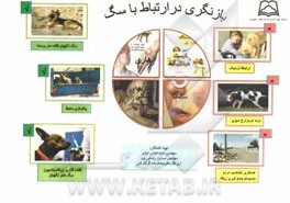 عملیات اتلاف سگ‌های ولگرد