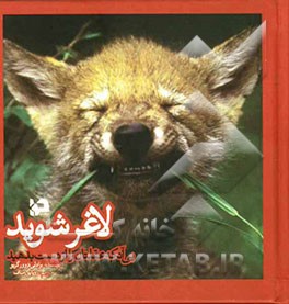 لاغر شوید بی‌آنکه عقلتان را از دست بدهید