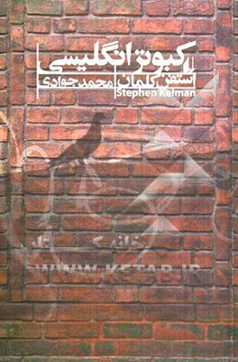 کبوتر انگلیسی