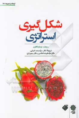 شکل‌گیری استراتژی