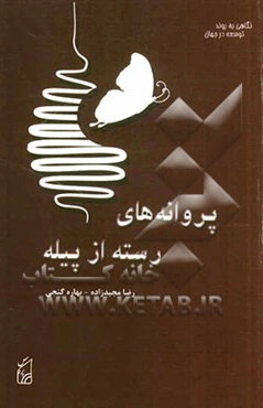 پروانه‌های رسته از پیله: نگاهی به روند توسعه در جهان