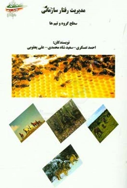 مدیریت رفتار سازمانی: سطح گروه و تیم