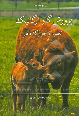 پرورش گاو ارگانیک: تغذیه و خوراک‌دهی