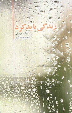 زندگی باید کرد