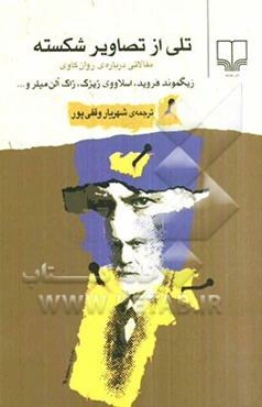 تلی از تصاویر شکسته: مقالاتی درباره‌ی روان‌کاوی زیگموند فروید، اسلاووی ژیژک، ژاک آلن میلر و ...