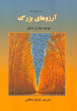 ترجمه خلاصه رمان آرزوهای بزرگ