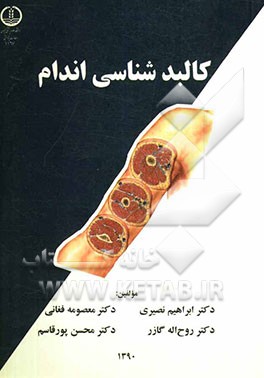 کالبدشناسی اندام