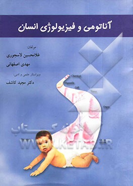 آناتومی و فیزیولوژی انسان